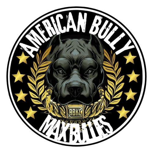 Untitled (500 x 500 px) (100 x 100 px) (500 x 500 px)