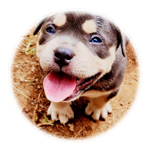 Untitled design (47)