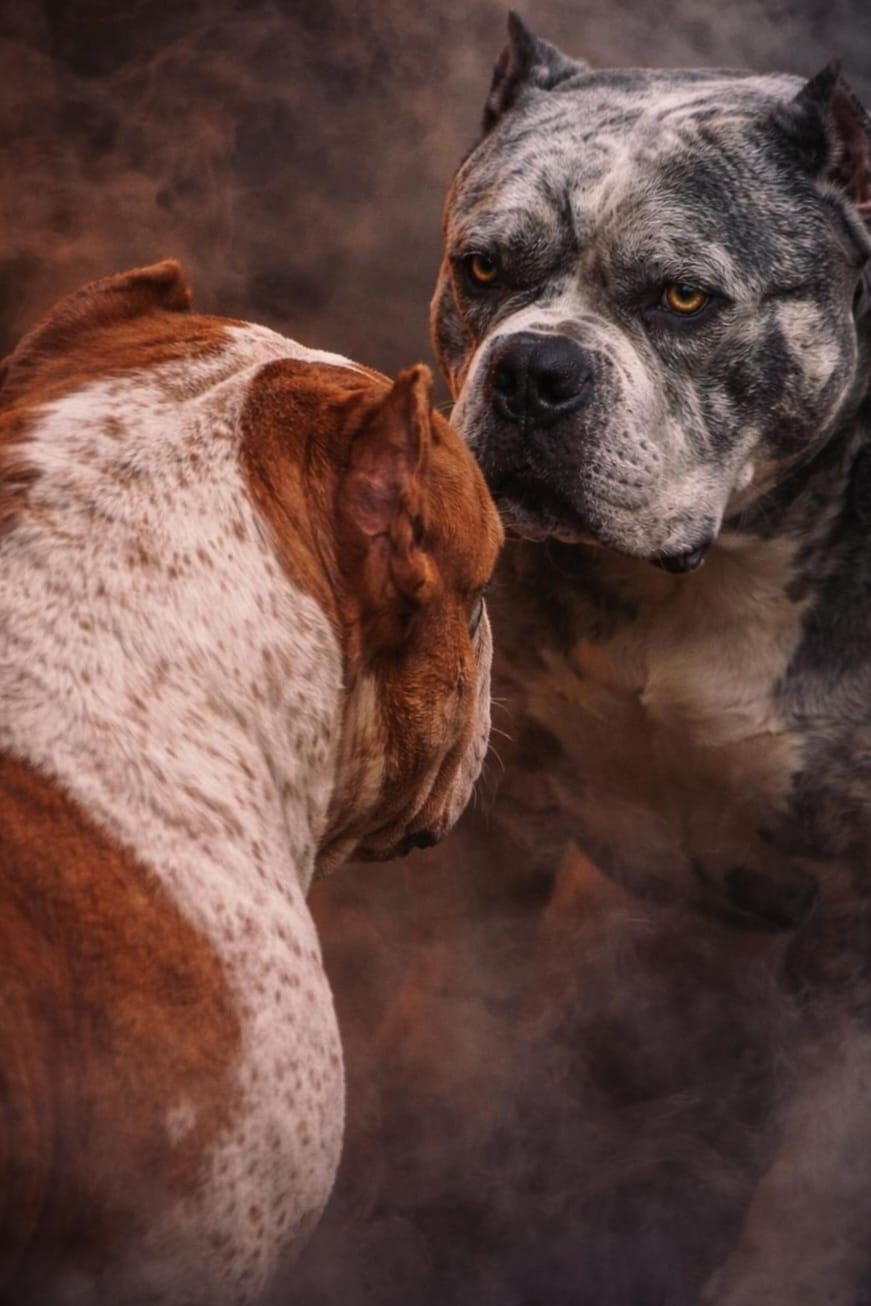 WhatsApp Image 2026-03-27 at 23.25.22